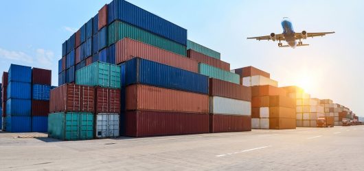 Developing Exporting Firm Capabilities